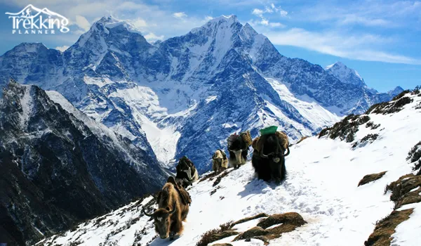 Ultimate Guide to Mera Peak Climbing in Nepal