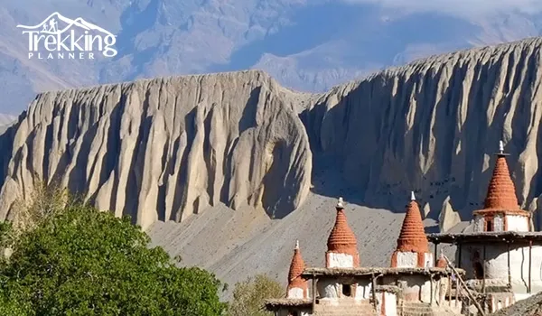 Tracing Mustang Historical Journey