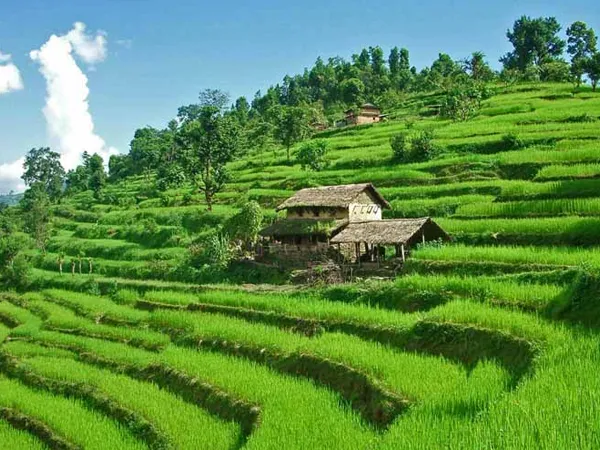 Farmers working in terraced fields showcasing agro tourism in rural Nepal