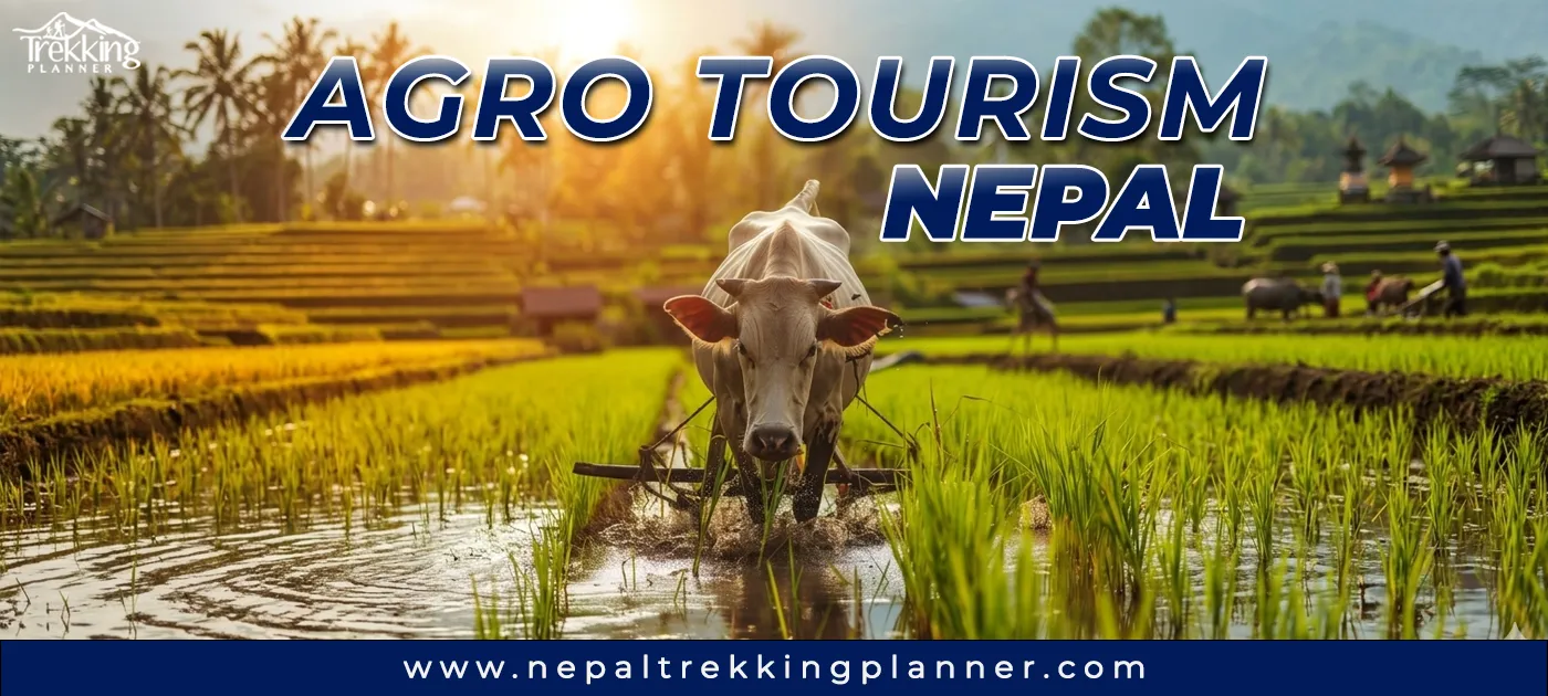 agro tourism in Nepal