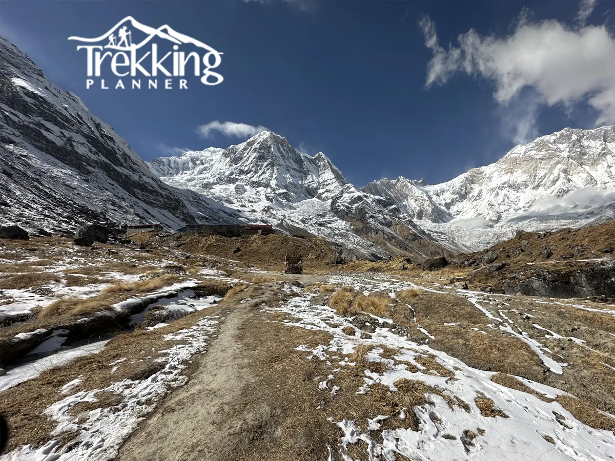 Forest trail on Annapurna Base Camp short trekking route through rhododendron woods