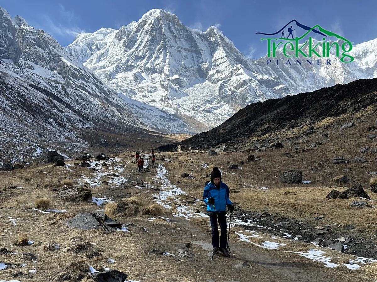 Trekkers walking through rhododendron forests on the Annapurna Base Camp Trek via Poon Hill