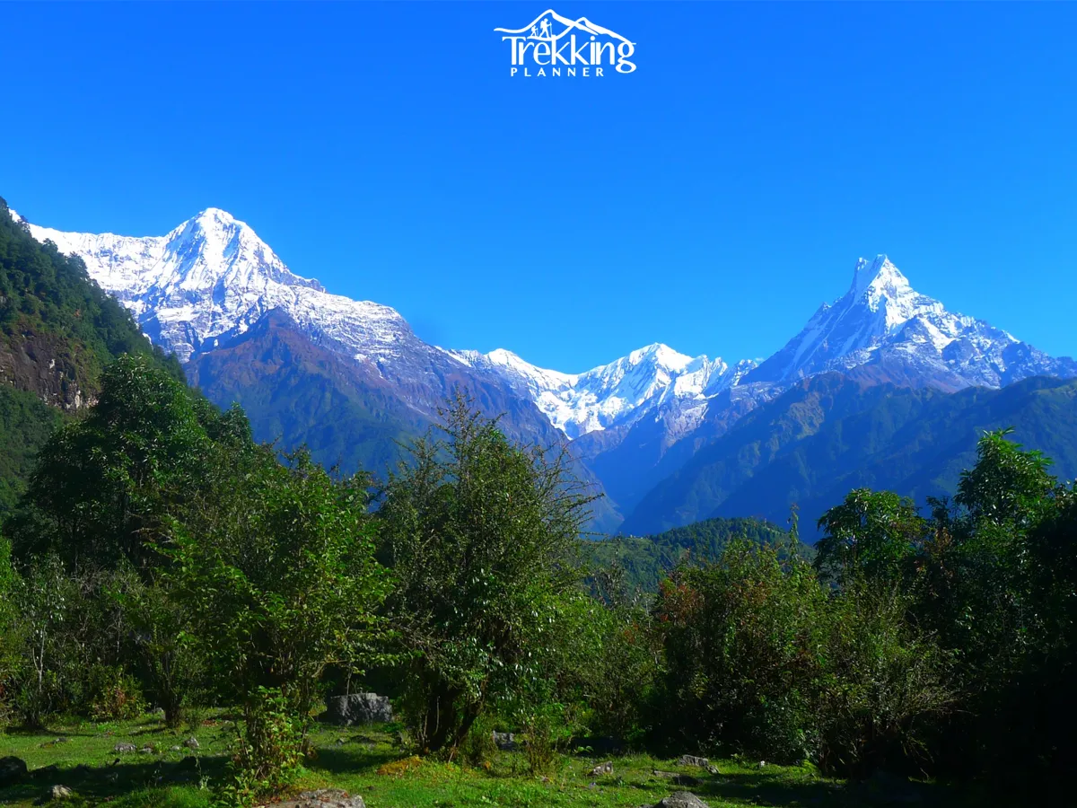 Panoramic view of Annapurna South, Hiunchuli, and Machhapuchhre from the Annapurna Panorama Trekking trail in Nepal.