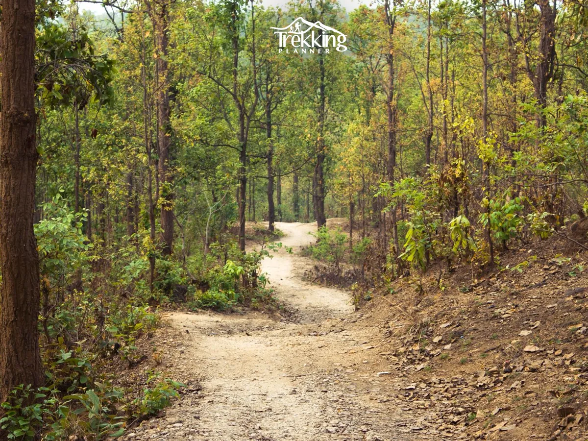 View of Bardiya National Park