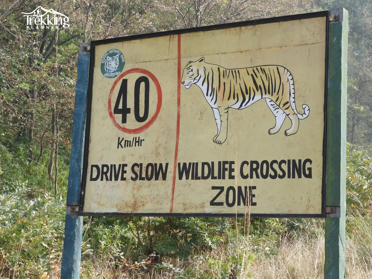 Wildlife safari in Bardiya National Park, Nepal, featuring natural habitats and diverse wildlife.