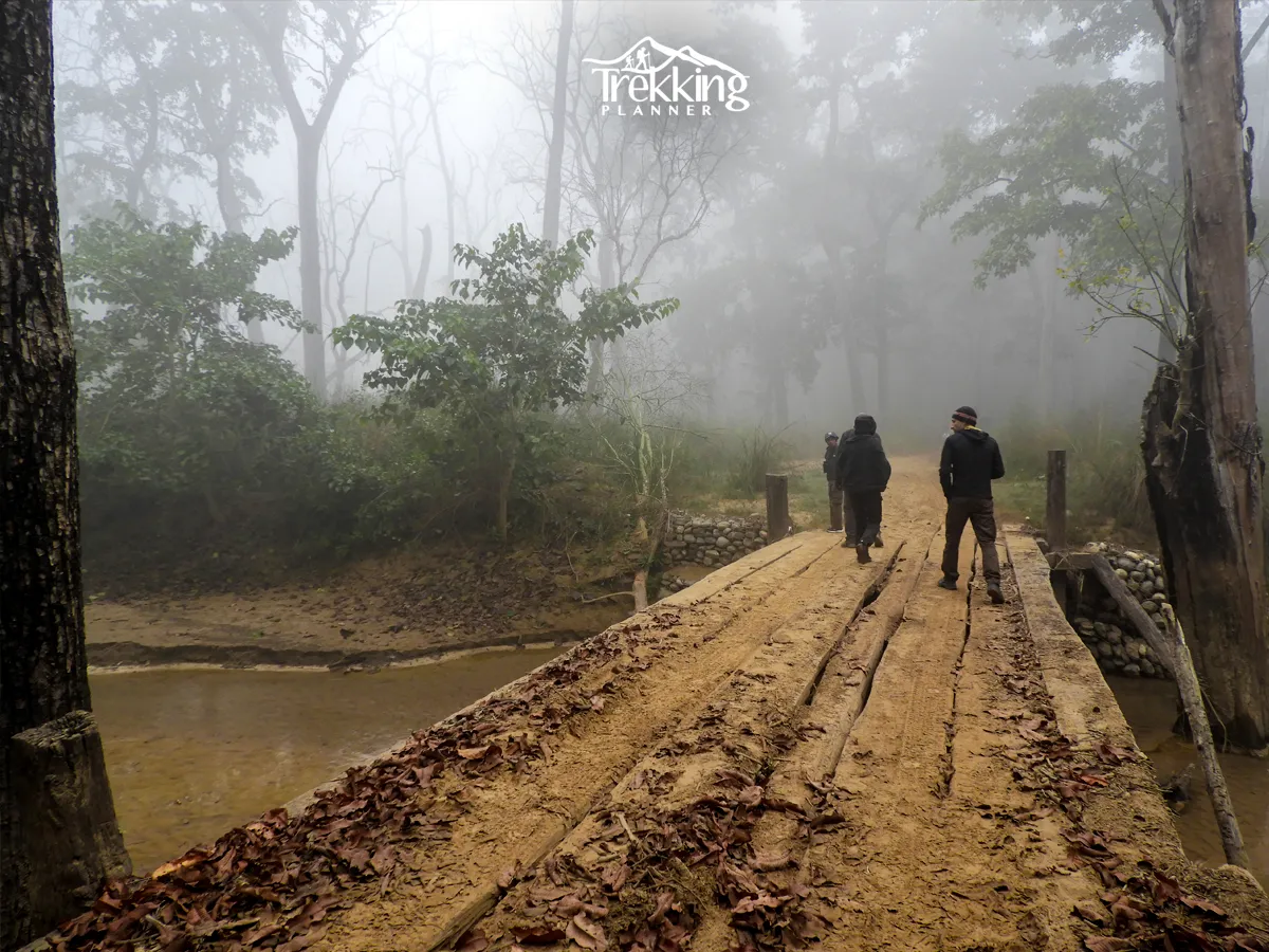 Bardiya National park