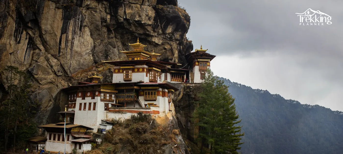 View of Paro