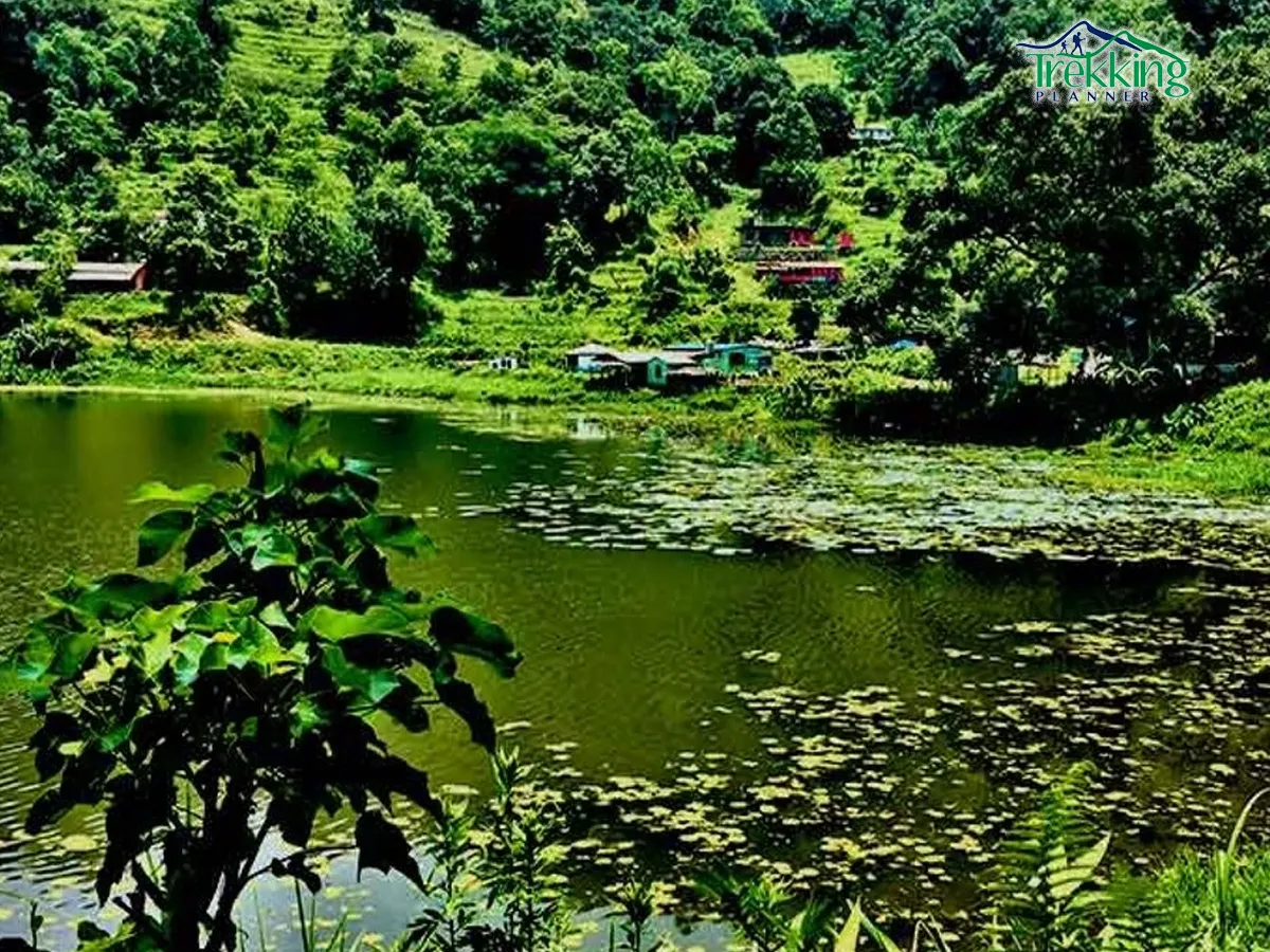 Scenic forest trail leading to Champadevi, one of the most popular day hikes near Kathmandu.