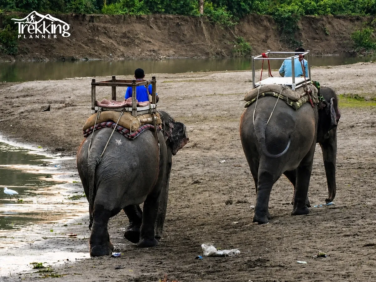 Circuit Tours in Nepal with Jungle Safari