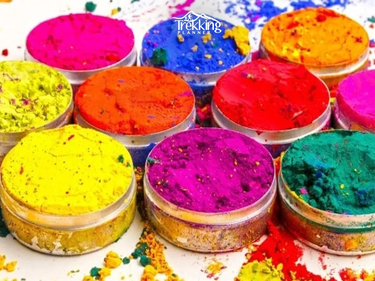 Color Festival in Nepal