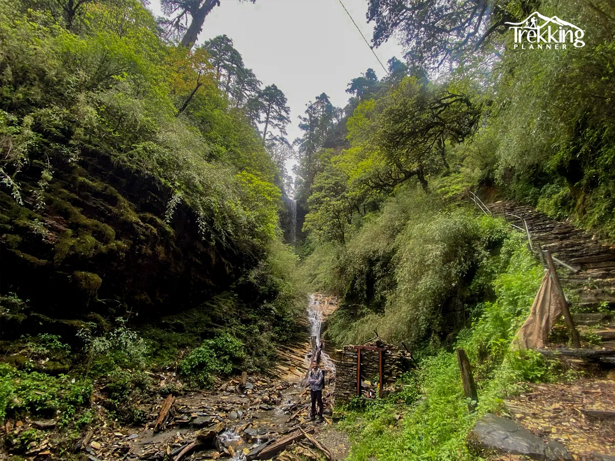 Group practicing yoga in rhododendron forest along Ghorepani trekking trail in Nepal