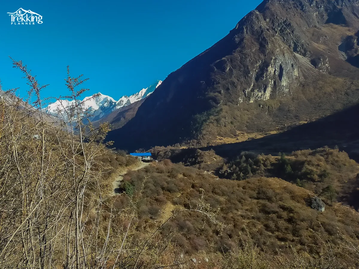 Panoramic mountain view and rhododendron forests along the Helambu Trekking route