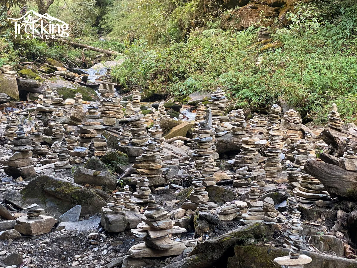 Hidden forest hot spring pool in Annapurna Conservation Area with lush greenery and mountain backdrop