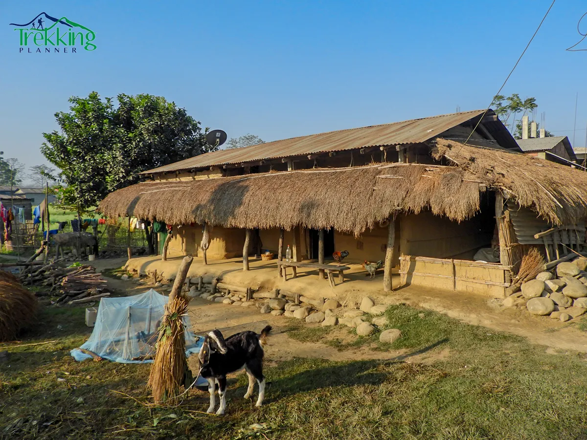 Kathmandu Pokhara Chitwan Lumbini Tour covering Nepal's cultural, wildlife, and spiritual attractions