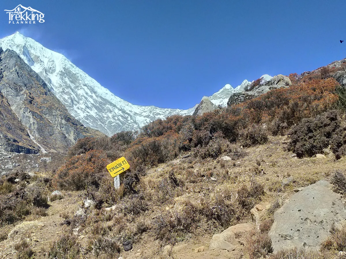 Langtang Valley scenic view during Langtang Gosaikunda Helambu Trek with mountains and green hills