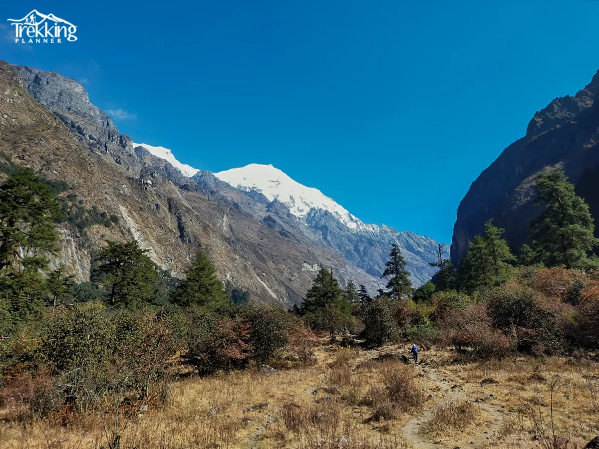 Trekkers crossing Laurebina Pass during the Langtang Valley Gosaikunda Trekking journey in Nepal Himalayas