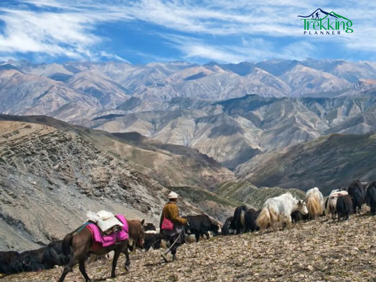 Beautiful Himalayan landscape featuring rugged terrain along the Lower Dolpo Trekking route.