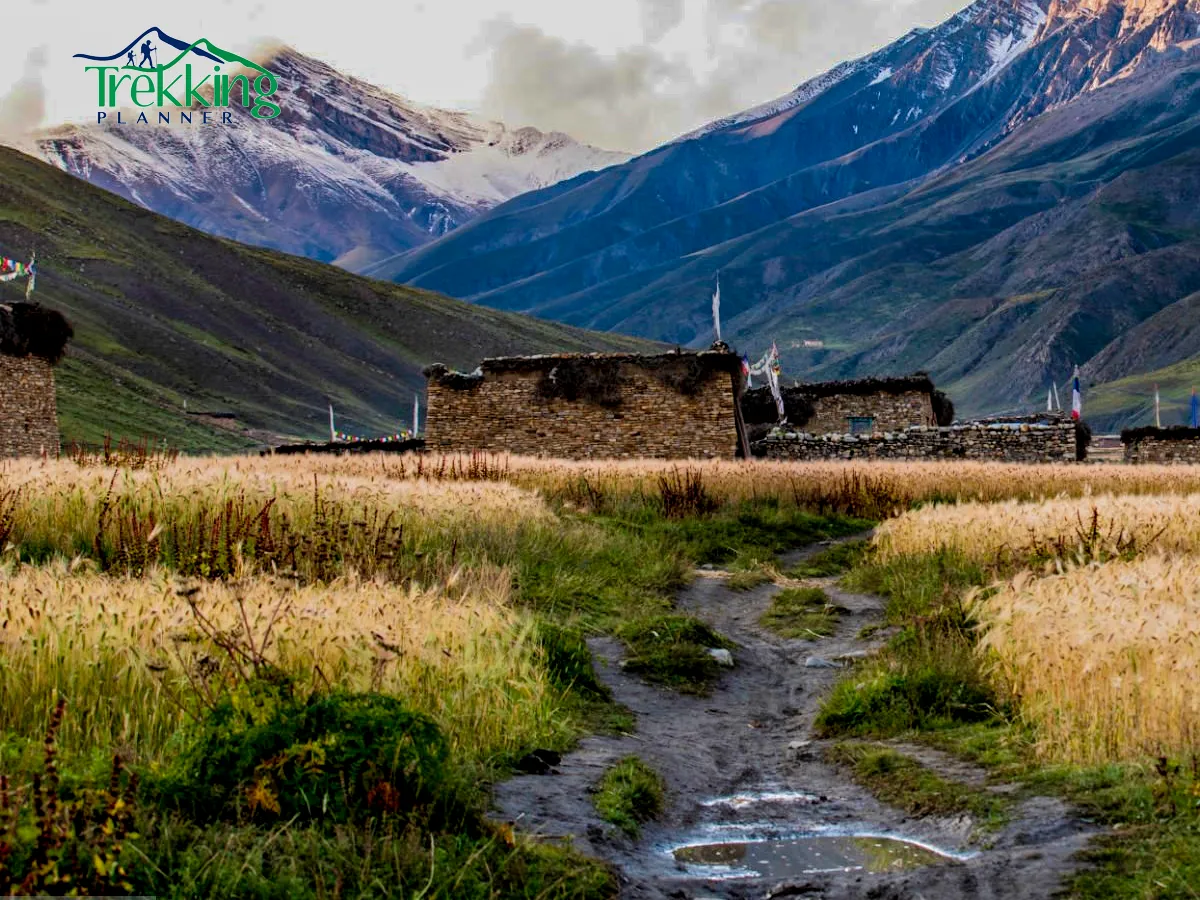 Traditional village and local culture encountered during Lower Dolpo Trekking in Nepal.