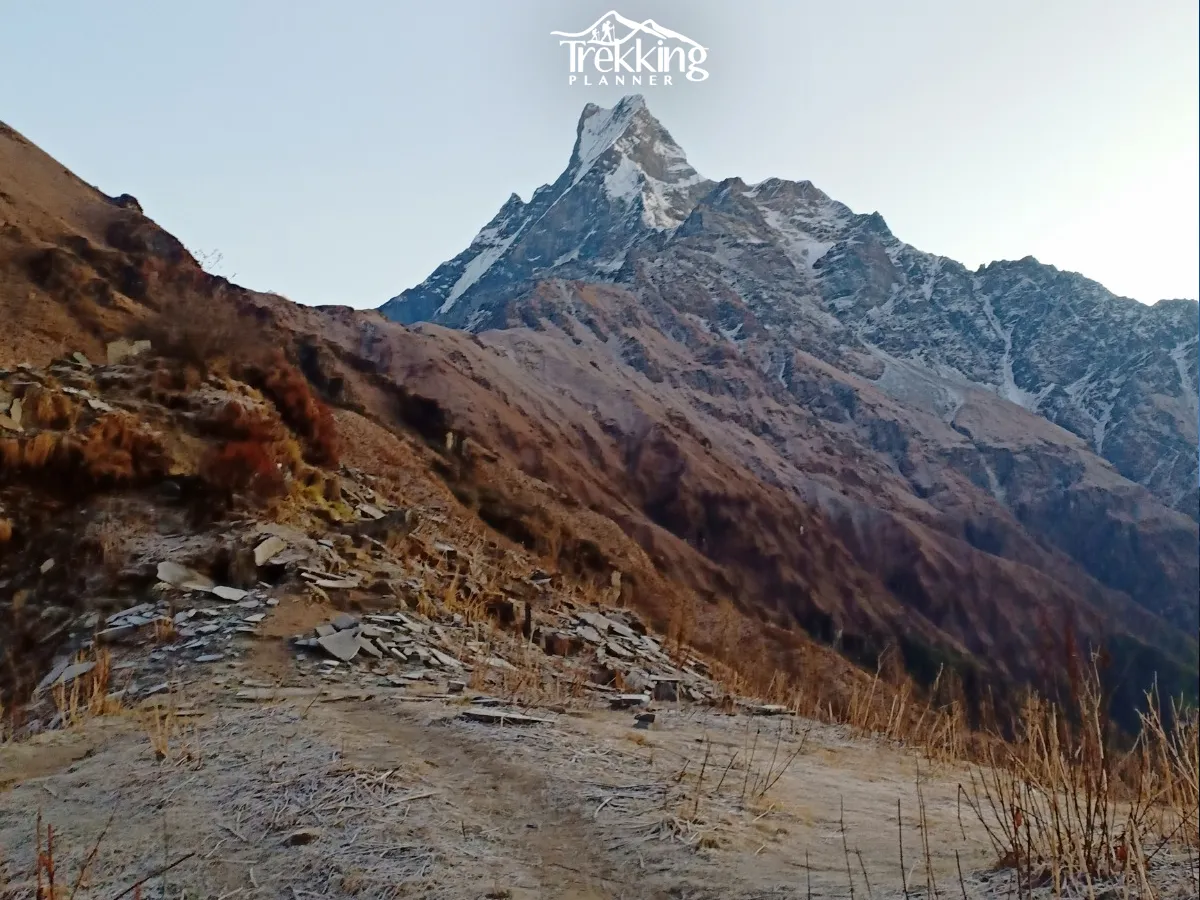 Close-up view of Machhapuchhre (Fishtail Mountain) from the scenic Mardi Himal Trekking trail in Nepal