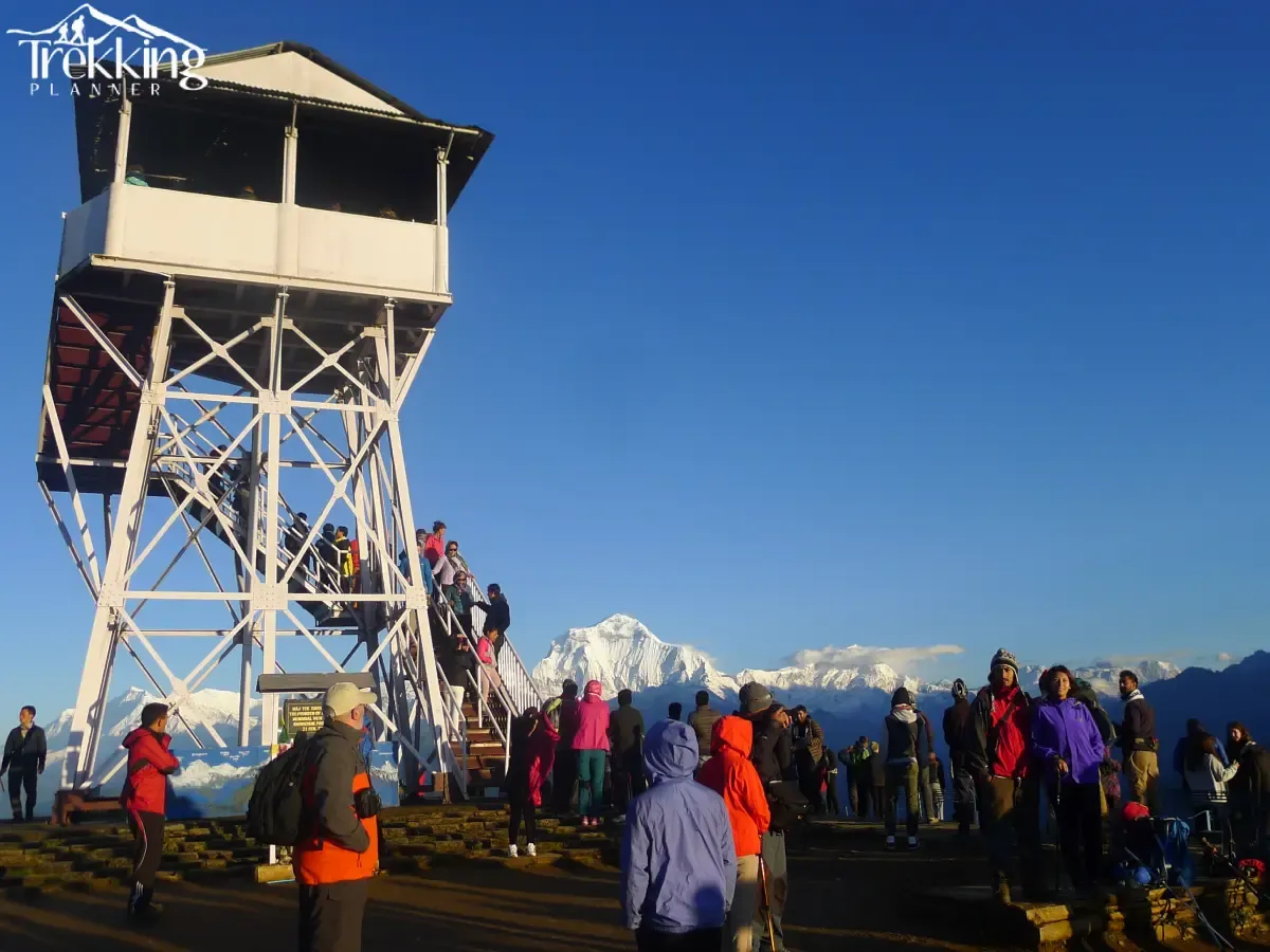 Ghorepani Poonhill Trekking - 5 Days