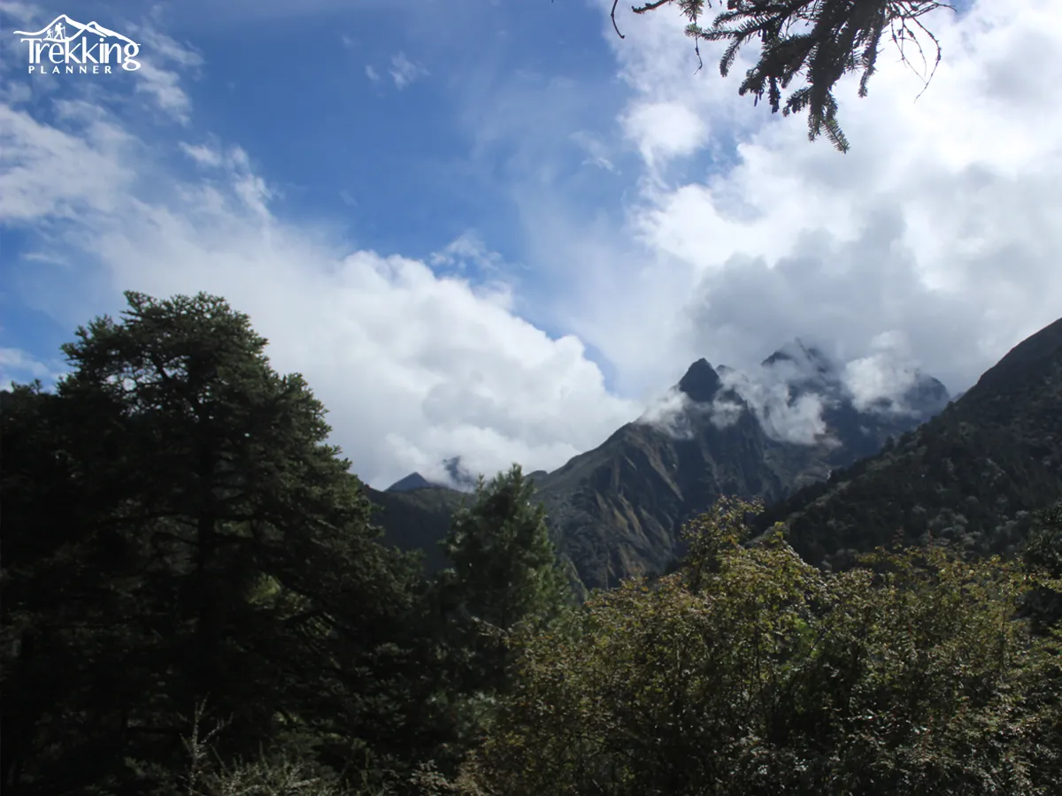 Adventure travelers trekking to Everest Base Camp and spotting a one-horned rhinoceros during a Chitwan Safari in Nepal.