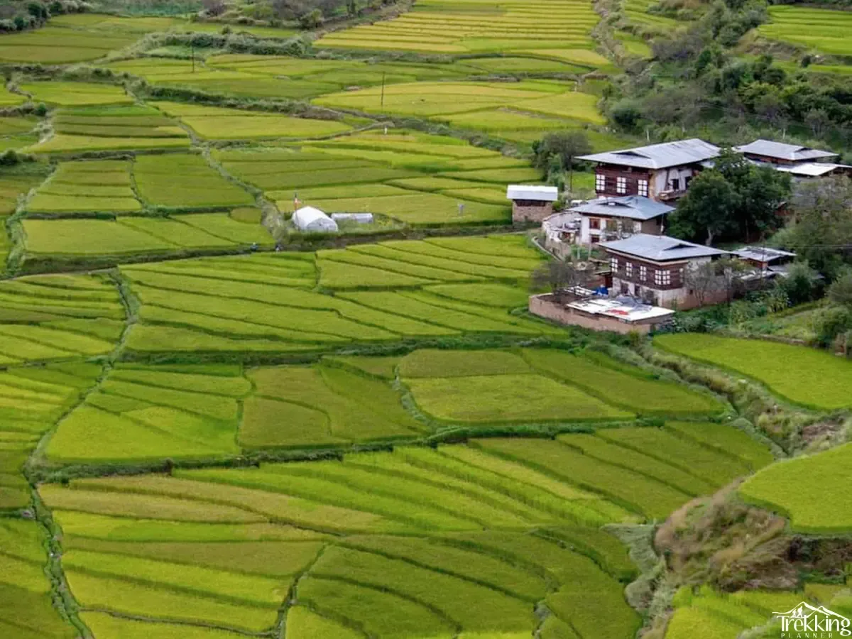 11 Days Bumthang Trekking