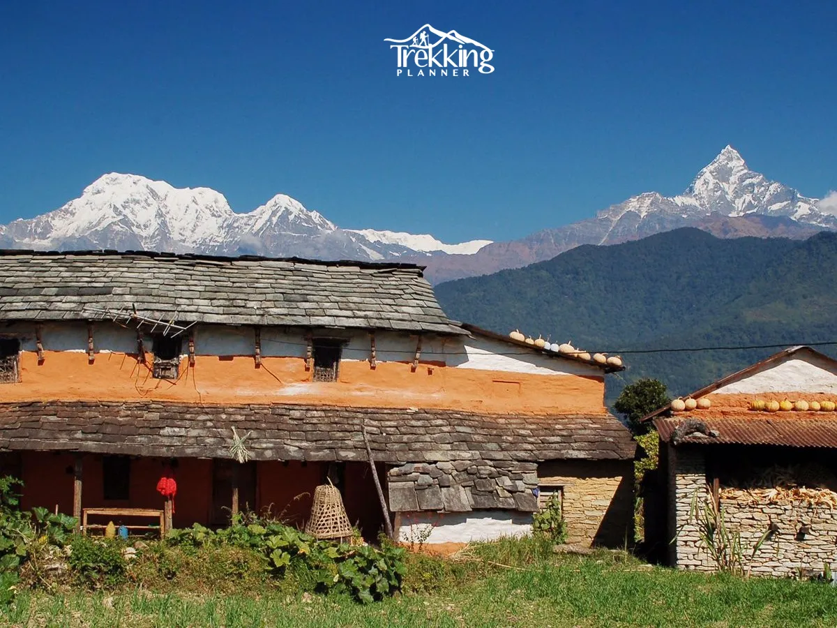 Traditional Gurung village along the Panchase Trek route with stone houses and mountain scenery.
