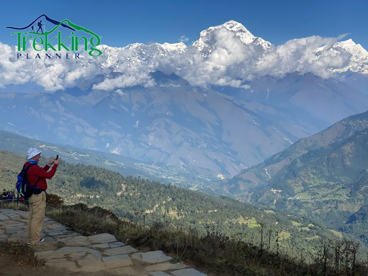 Trekking trail through blooming rhododendron forest on Khopra Poon Hill Trek route in Nepal