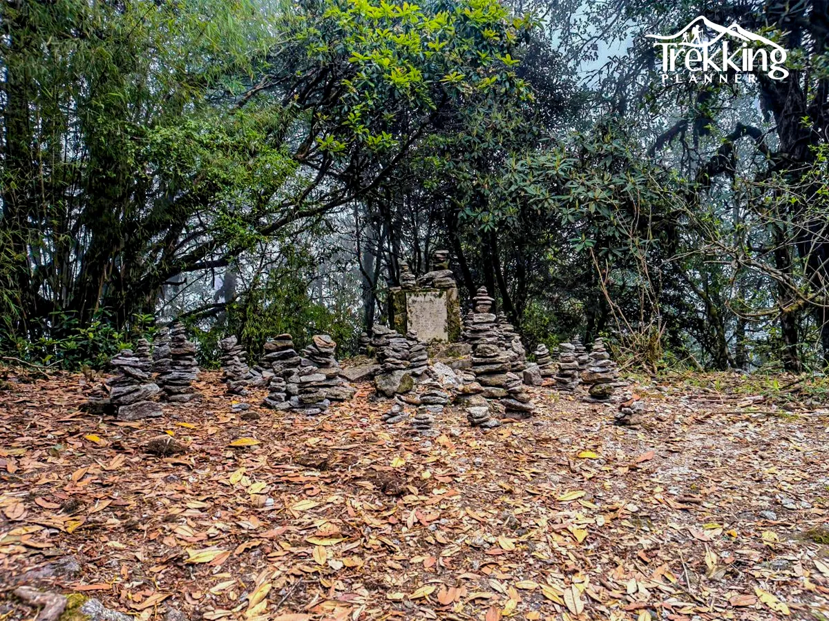 Yoga meditation session during Shivapuri Hill yoga hike with Himalayan forest background in Nepal