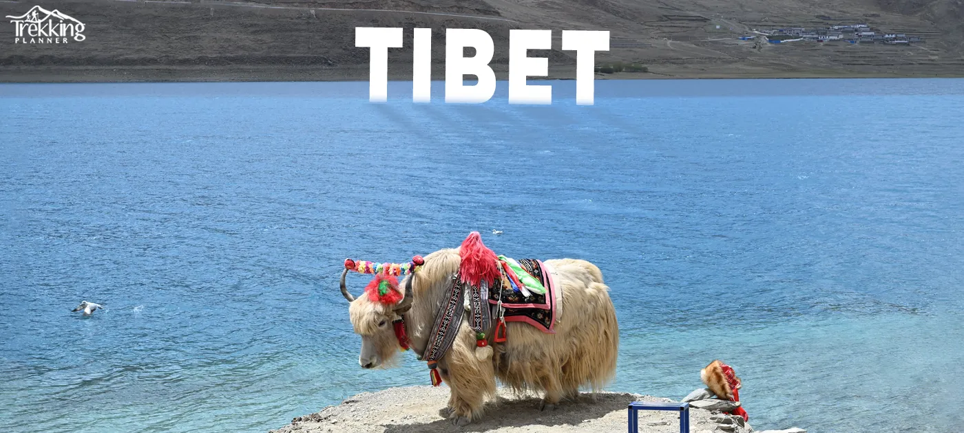 Tibet