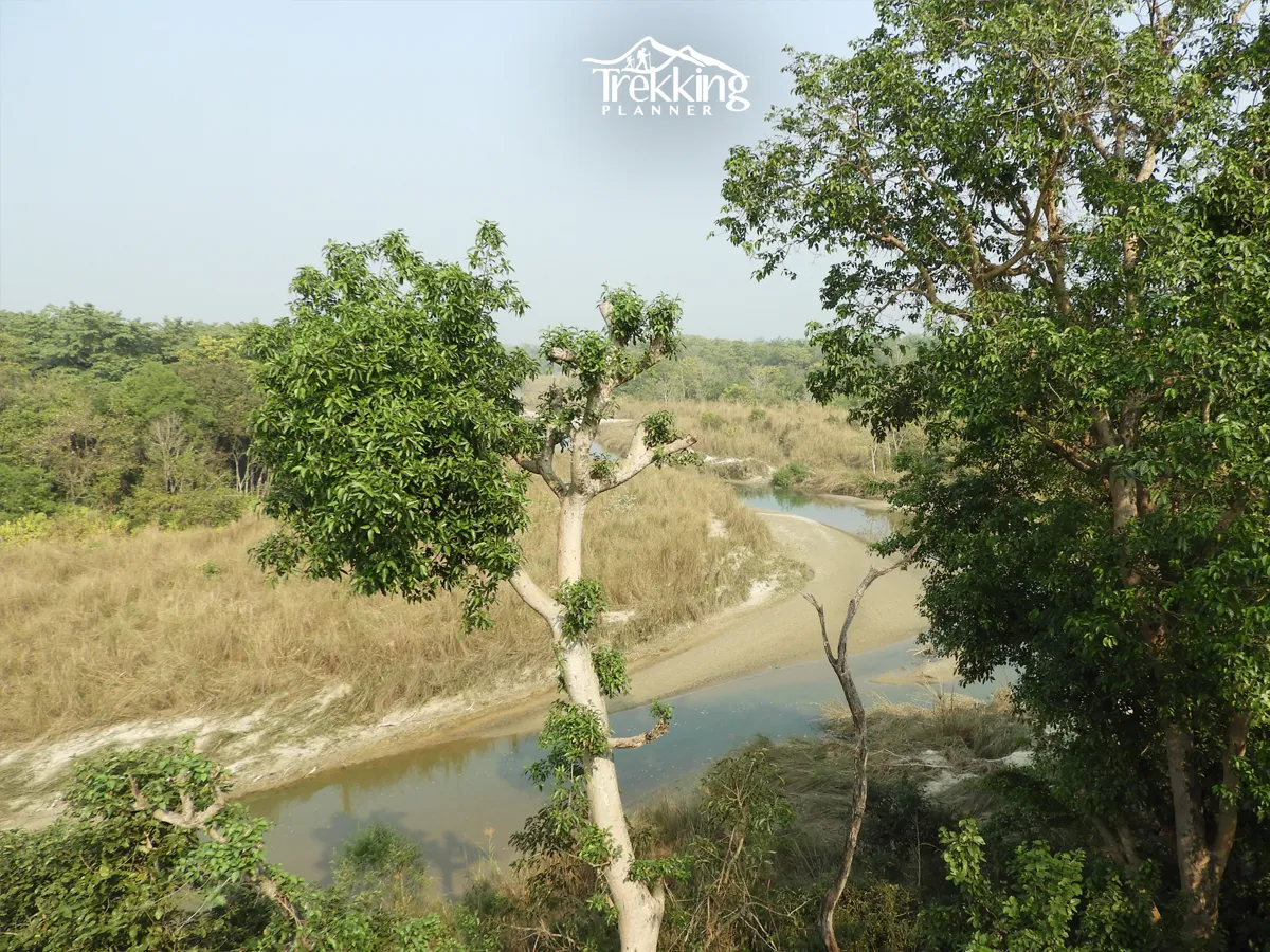 View of Rapti River from Bardiya National park
