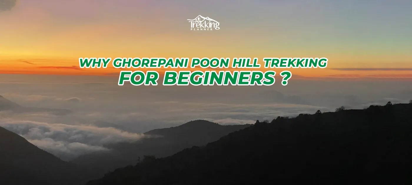 Why Ghorepani Poon Hill Trekking for Beginners