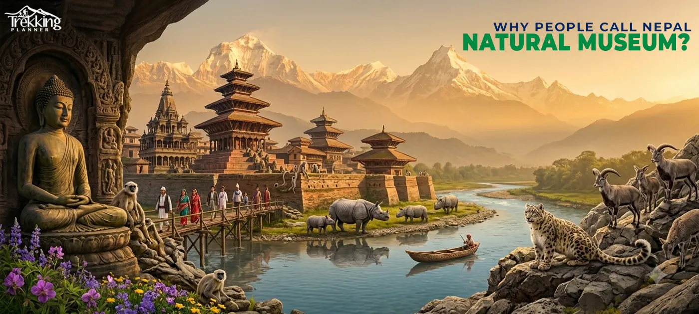 Why People Call Nepal Natural Museum