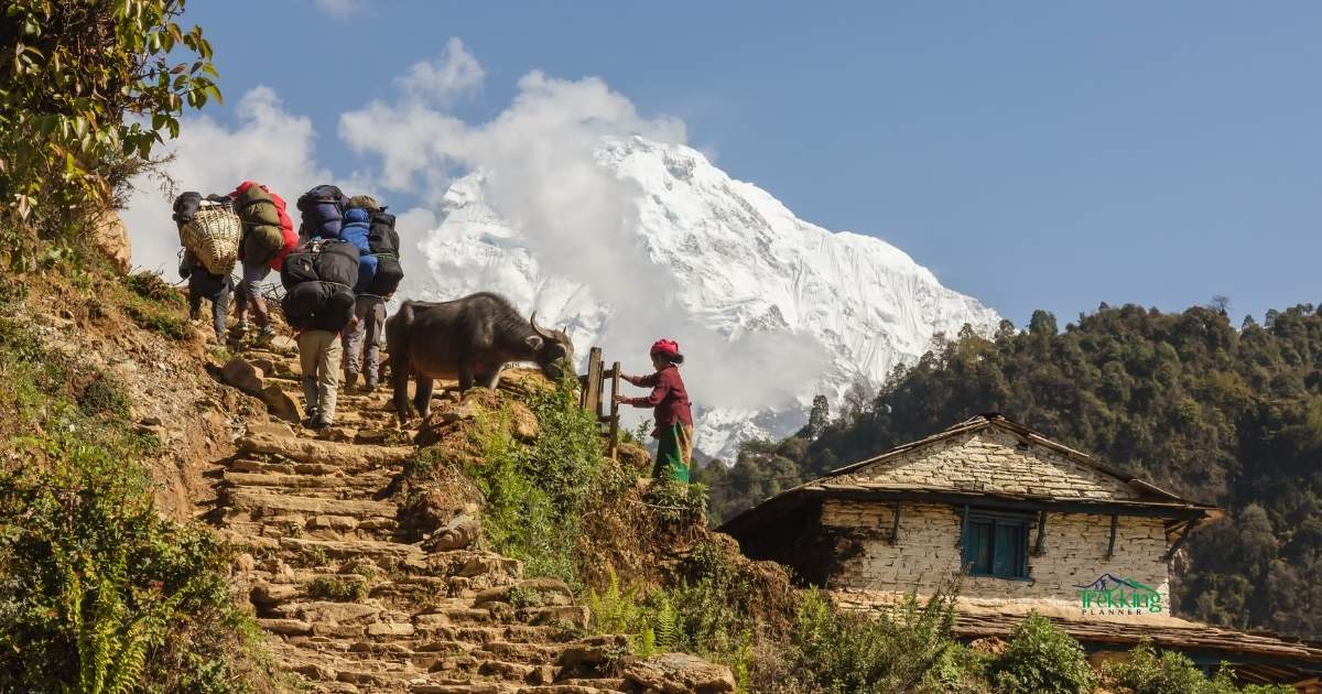 hiring a porter during trekking in nepal