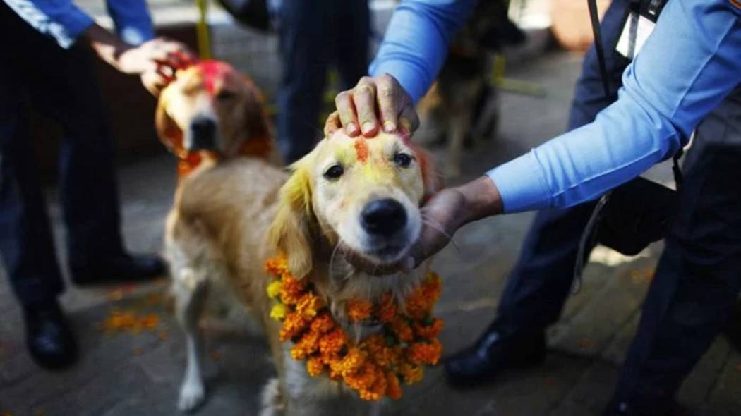 Festivals of Nepal tihar