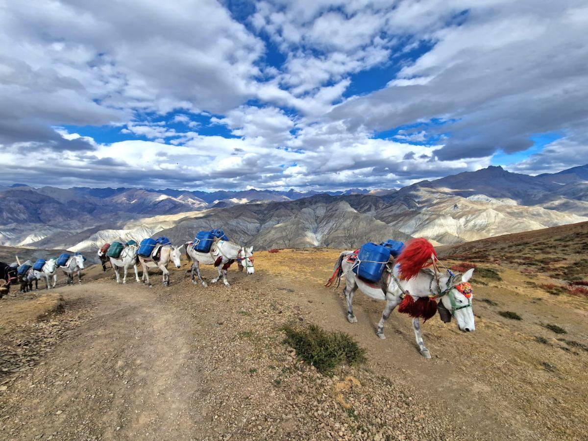 upper Dolpo