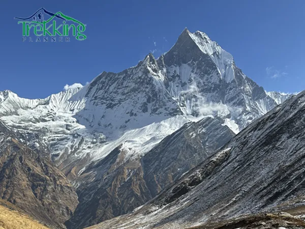 Trekkers on the Ghorepani Poon Hill trail heading toward Annapurna Base Camp