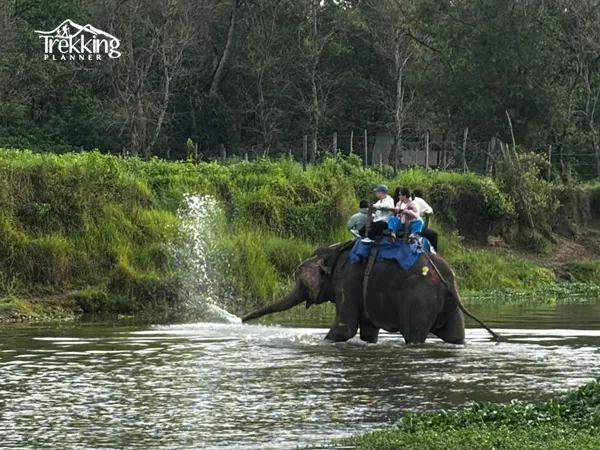 Jeep safari exploring the wilderness of Bardiya National Park in western Nepal