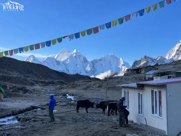 Himalayan Prayer Flags And Mountain Camp