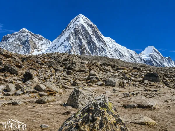 Lichen Boulder Beneath Snowy Peaks