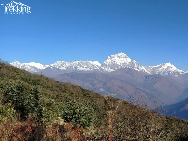 Mount Dhauagiri View From Poon Hill