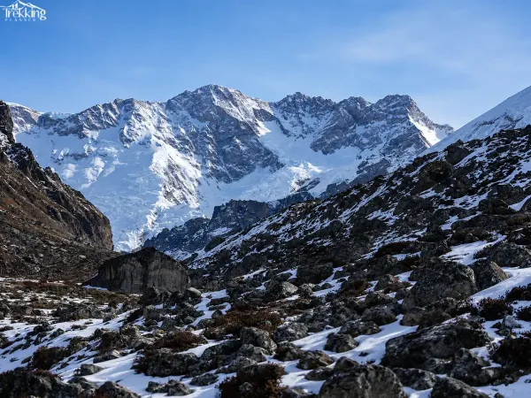 Mountain Wilderness Through The Rocks