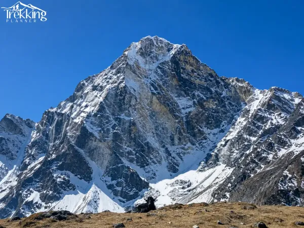 Snowy Mountain Vista With Resting Yak