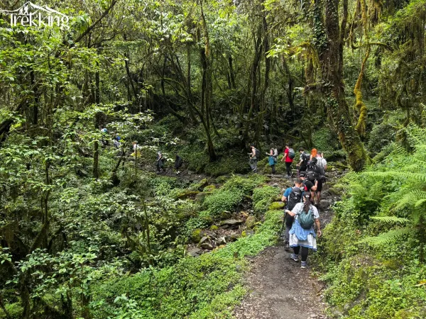 Trail From On The Way To Ghandruk From Tadapani