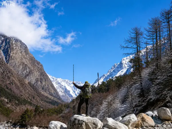 Triumphant Hiker In An Alpine Valley
