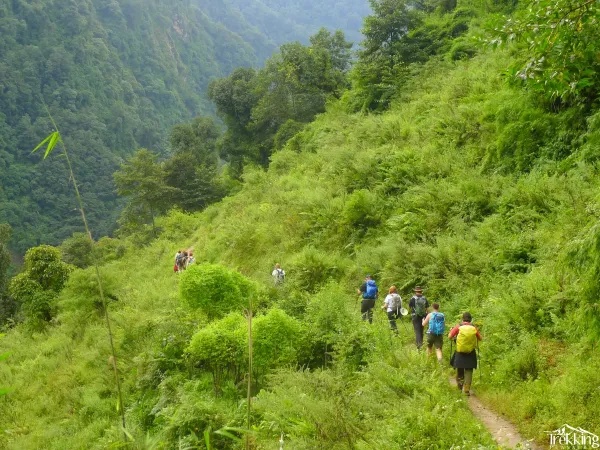 View From Abc Trek