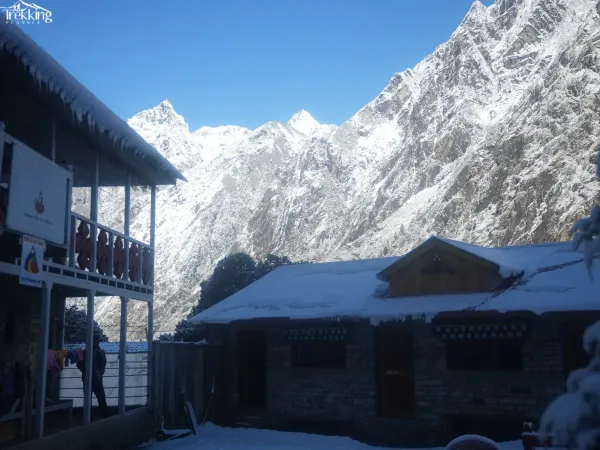 View From Ghunsa
