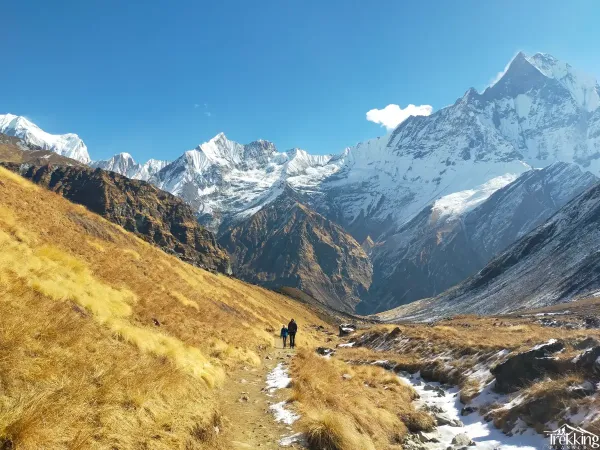 View Of Mount Fishtail From On The Way To Abc