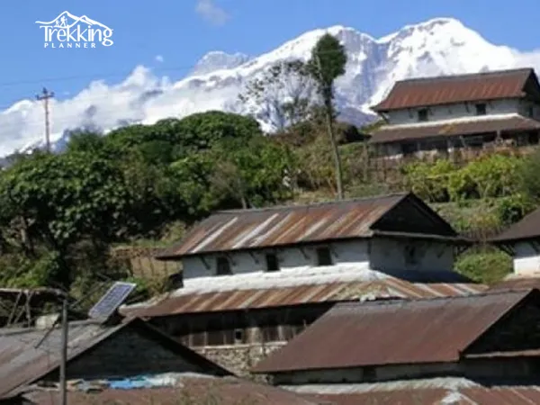 Guests enjoying a cultural homestay experience in Ghale Gaun, Nepal