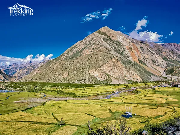 Trekkers walking through the remote Humla Limi Valley Trek route in western Nepal